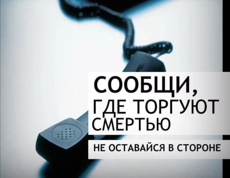 Общероссийская акция «Сообщи, где торгуют смертью».